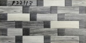 P22113