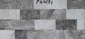 P22131-33