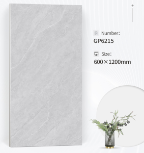 Superior Frost Resistant Wall Tile GP6215