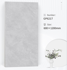 Leading Supplier Wall Tile 600x1200 GP6217