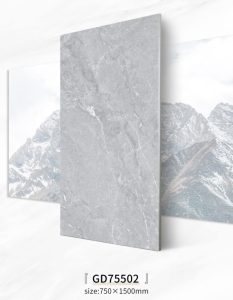 New Design Porcelain Wall Tile GD75502