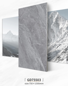 Excellent Anti-Slip Wall Tile GD75503