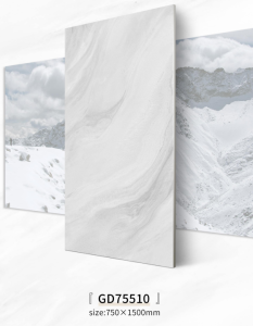 Exclusive Polished Porcelain Tile GD75510