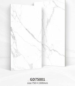 First Class Porcelain Wall Tile GD75001