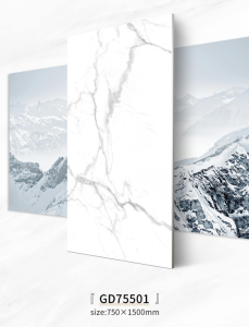 Top Quality Glazed Wall Tile GD75501